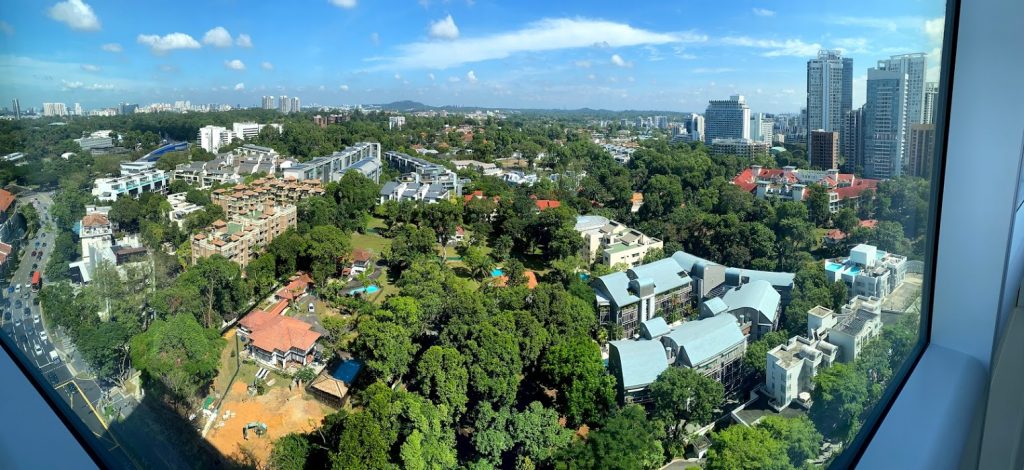 St Regis Botanic Garden view